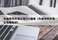 大连软件开发公司500强有（大连软件开发公司哪家好）